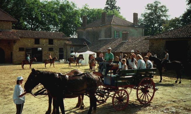 Location de calèche, sortie, nature